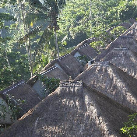 Tejaprana Resort & Spa Убуд Екстериор снимка The roofs of the hotel