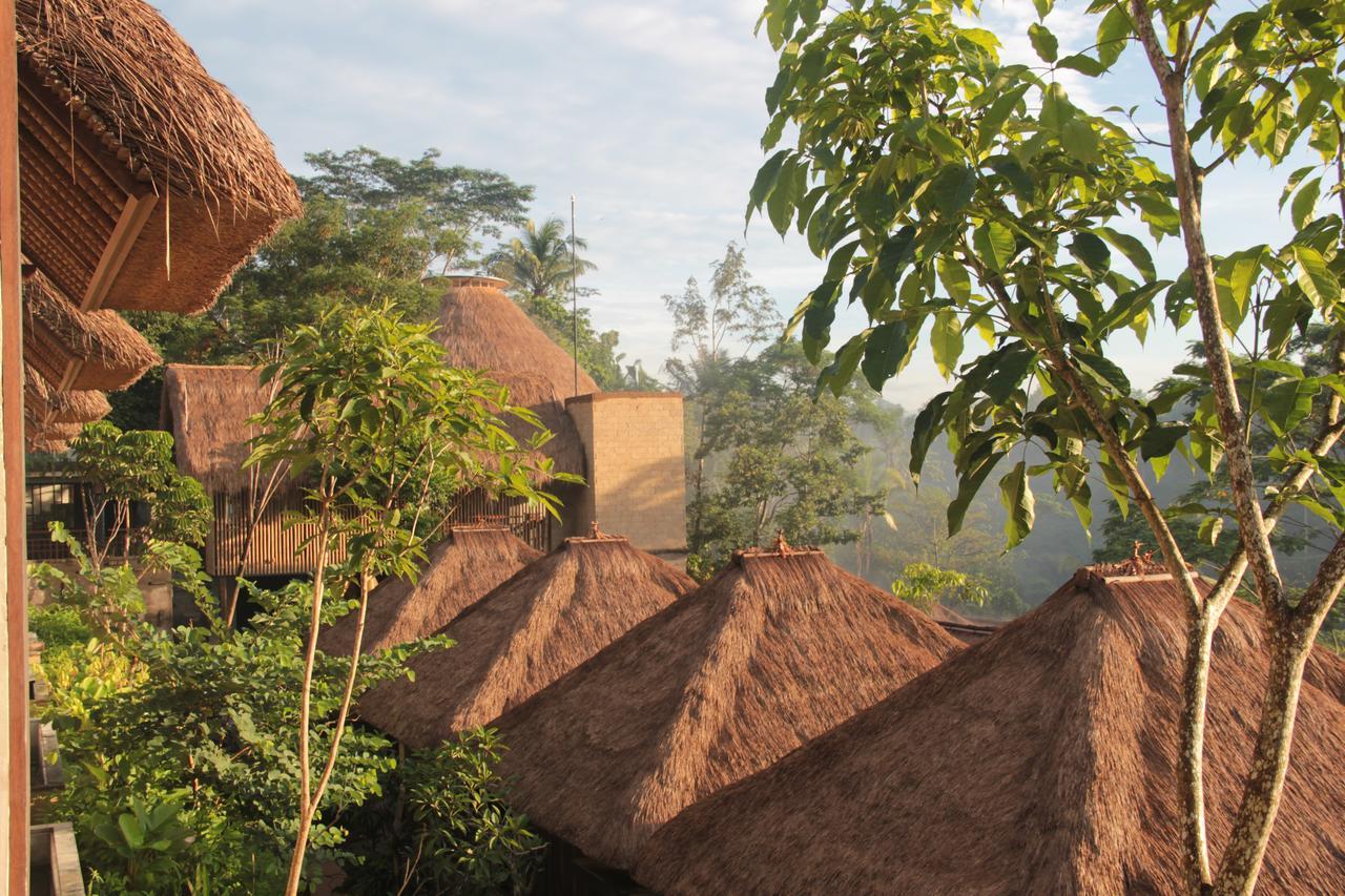 Tejaprana Resort & Spa Убуд Екстериор снимка The resort's villas