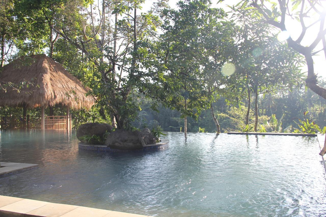 Tejaprana Resort & Spa Убуд Екстериор снимка The resort's swimming pool