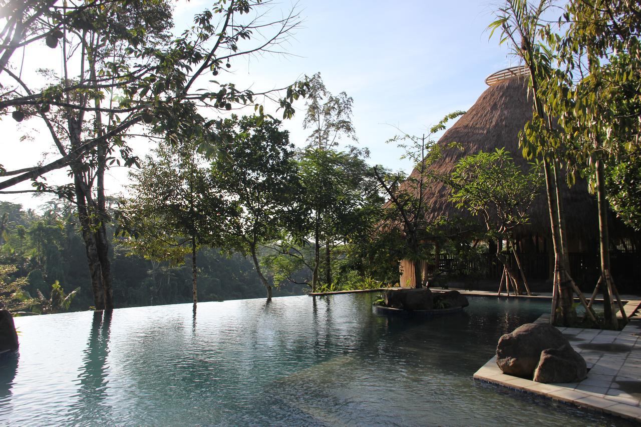 Tejaprana Resort & Spa Убуд Екстериор снимка The resort's swimming pool