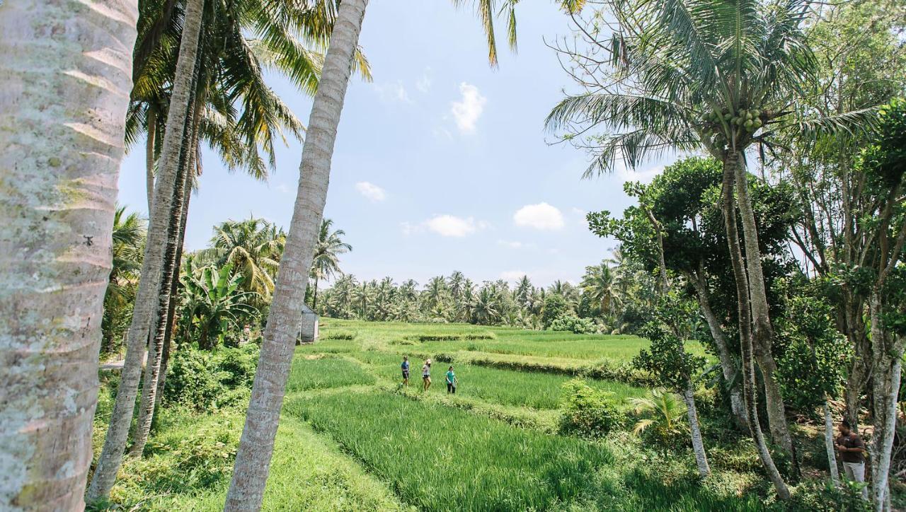 Tejaprana Resort & Spa Убуд Екстериор снимка A paddy field in Sri Lanka