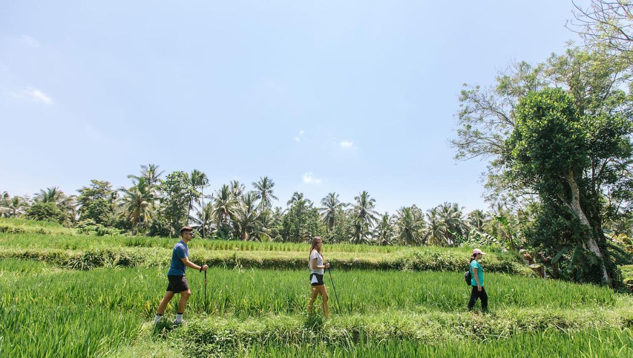 Tejaprana Resort & Spa Убуд Екстериор снимка Trekking in Bali